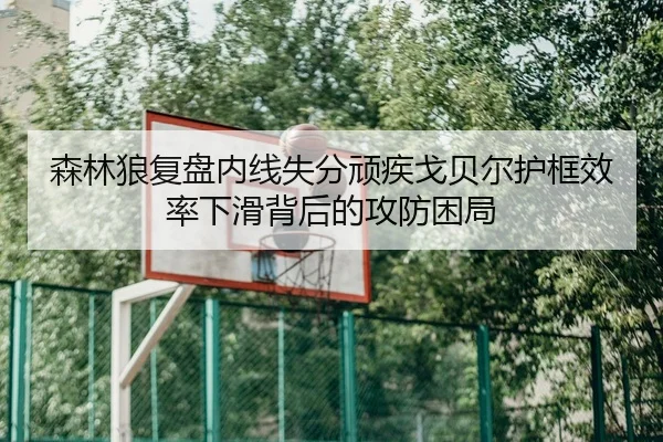 森林狼复盘内线失分顽疾戈贝尔护框效率下滑背后的攻防困局